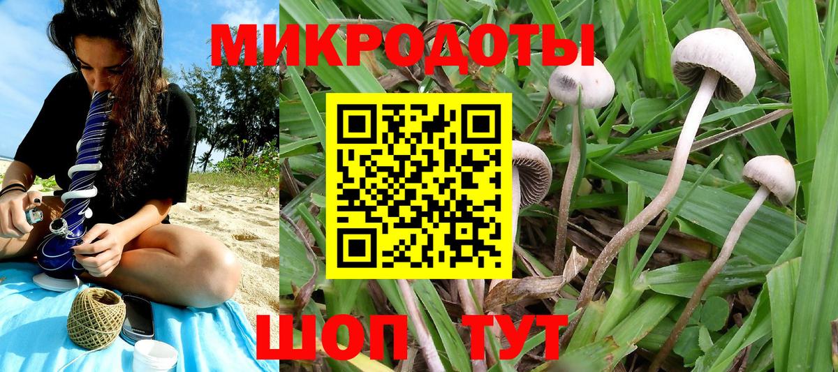 Лесной  Псилоцибиновые грибы MAGIC MUSHROOMS  Вход с VPN 