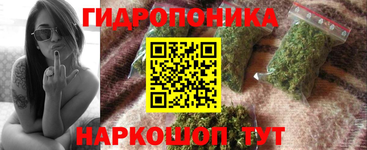 Лесной  Гашиш  Мефедрон кристаллы  Cocaine  Вход с VPN  ГАШ 